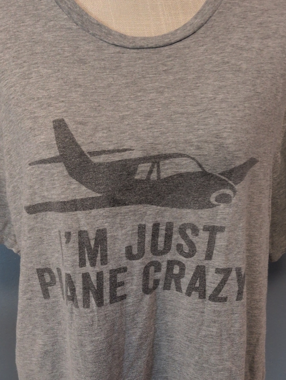 District I'm Just Plane Crazy Tee Shirt Cotton Blend Novelty Top Relaxed Fit - Picture 2 of 7